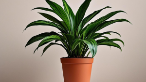 彩6哪个服务器水平低-彩六有哪些服务器