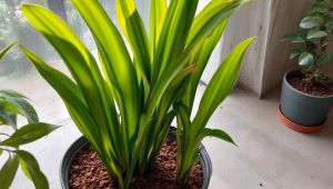 服务器的特征是什么意思啊-服务器主要特性