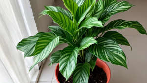 服务器硬盘损坏用带数据的硬盘可以吗-服务器硬盘损坏怎么修复