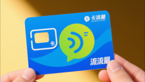 服务器系统必须设密码吗-服务器需要ip地址吗