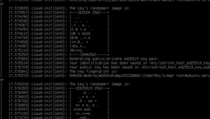 ubuntu服务器版安装中文(ubuntu服务器版安装步骤)
