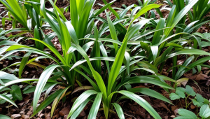 服务器基础配置怎么选-服务器配置教程