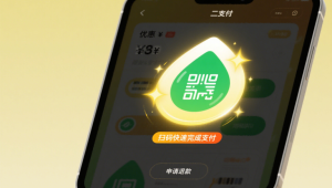 服务器都是第三方的吗怎么解决-服务器属于