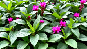 服务器可以用来干啥-服务器可以干啥