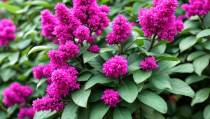 服务器怎么释放-服务器清理内存