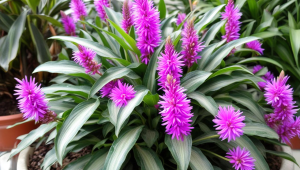 游戏为什么保护服务器内存不足-游戏为什么保护服务器内存空间