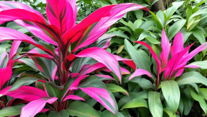 什么服务器便宜好用-什么牌子服务器最好