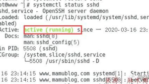 linux用户权限设置(linux账号权限管理)